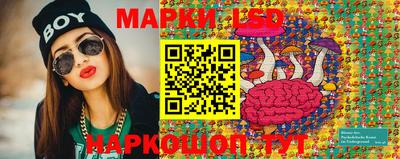 мдпв Бердск