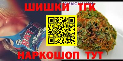мдпв Бердск